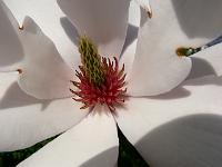 2009-04-25_14-43-34_0060