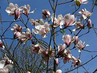 2010-05-11_12-22-15_0013