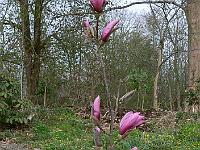 2010-04-28_07-12-36_0005