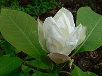 2011-05-18_13-07-16_0067