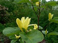 2009-05-23_09-06-38_0094