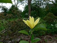 2009-05-24_10-19-47_0119