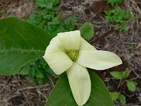 2009-05-24_10-20-06_0123