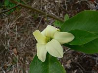 2009-05-24_10-20-48_0130