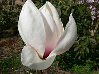 13-04-2007_15-40-36_99