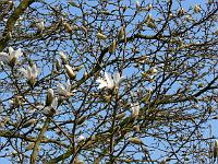 01-04-2007_17-10-12_56