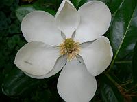 21-08-2007_09-56-32_16