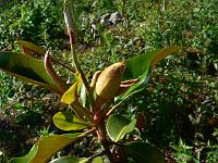 2009-06-17_07-28-16_0050