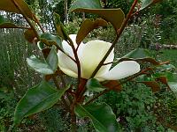 2009-07-19_16-42-31_0081