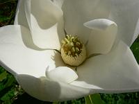 2009-08-20_10-55-35_0114