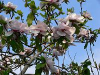 2011-04-27_16-10-50_0111