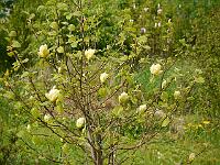 2014-05-07_10-24-57_0027