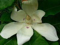 2009-06-27_18-04-05_0114