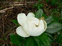 01-06-2007_09-49-13_114