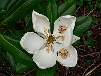 21-06-2007_20-46-57_27