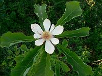 01-06-2007_20-19-49_31