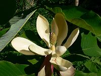 2009-06-01_07-50-48_0010