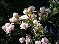 09-05-2006_19-14-02_179