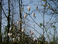 2014-04-25_08-00-20_0029