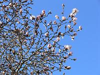 06-04-2007_09-00-19_51