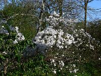 2010-05-04_07-30-15_0083