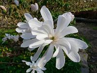 2011-04-17_16-44-52_0126