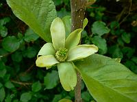 2008-05-08_12-01-00_0001