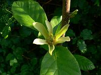 2008-05-10_09-06-02_0092