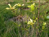 2011-05-10_18-08-16_0129