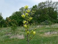 2011-05-14_10-58-13_0015