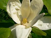 01-06-2007_18-09-15_85