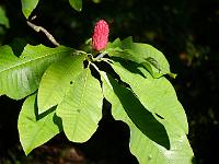 2012-10-06_14-00-14_0489