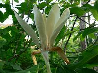 22-05-2007_19-45-11_06