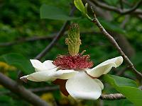 18-05-2007_17-57-29_174