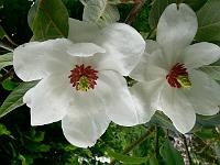 01-06-2007_17-03-56_12