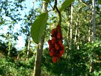 2009-09-01_09-39-01_0054