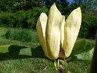 2008-05-18_08-40-54_0043