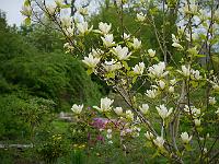 2013-05-19_16-51-52_0115