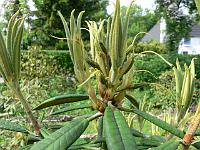 07-06-2006_18-01-17_43