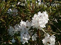 2012-05-25_08-26-38_0034