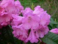 2009-04-27_19-07-57_0013