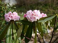 2014-04-04_08-43-28_0066