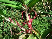 04-08-2006_18-18-14_66