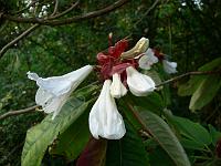 29-07-2006_20-42-55_02