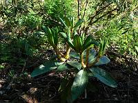 06-06-2006_09-34-25_29