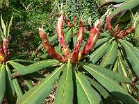 04-06-2006_11-05-36_59