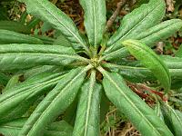 09-06-2006_10-51-35_55