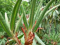 09-06-2006_10-52-21_64