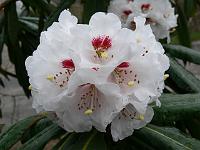 24-04-2006_07-56-38_110