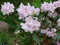 11-05-2007_11-45-25_07